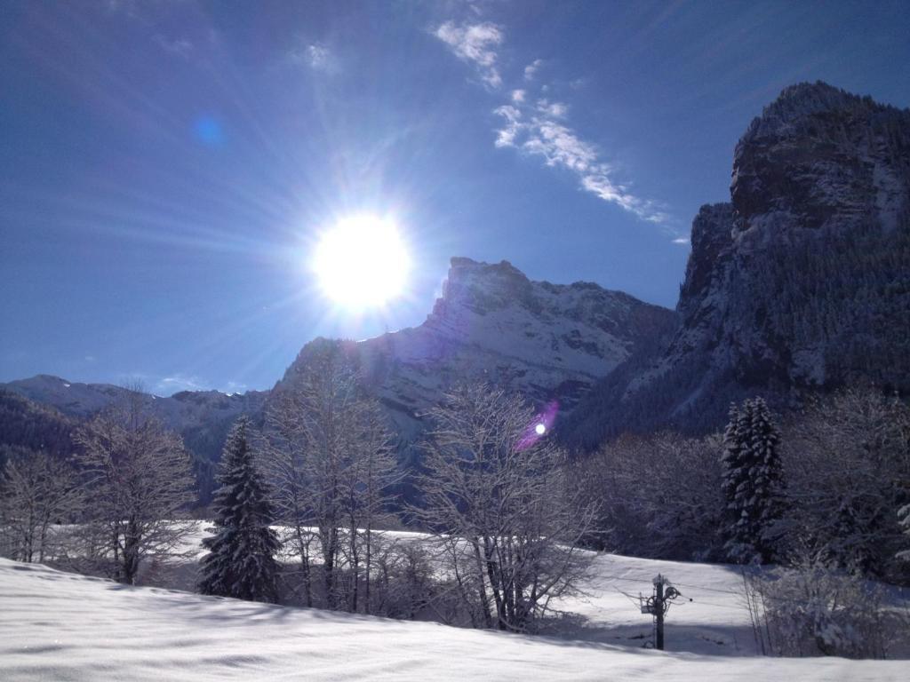 Chalet La R'Batte Sixt Dış mekan fotoğraf