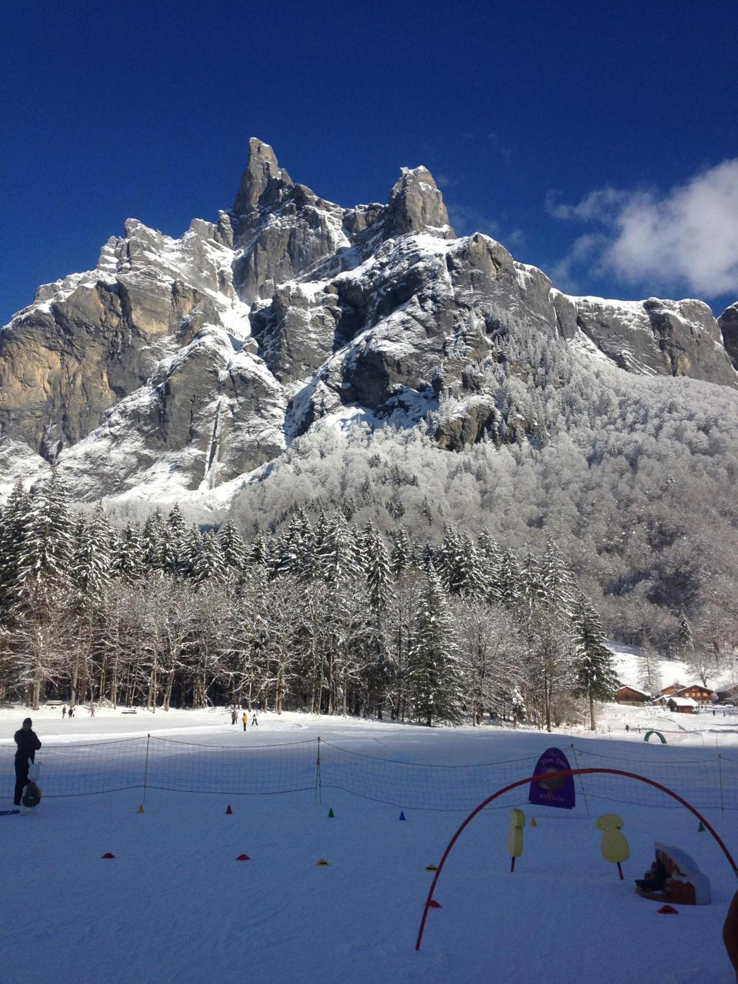 Chalet La R'Batte Sixt Dış mekan fotoğraf